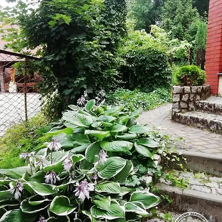 Baja 公寓 斯沃尔纳加西耶