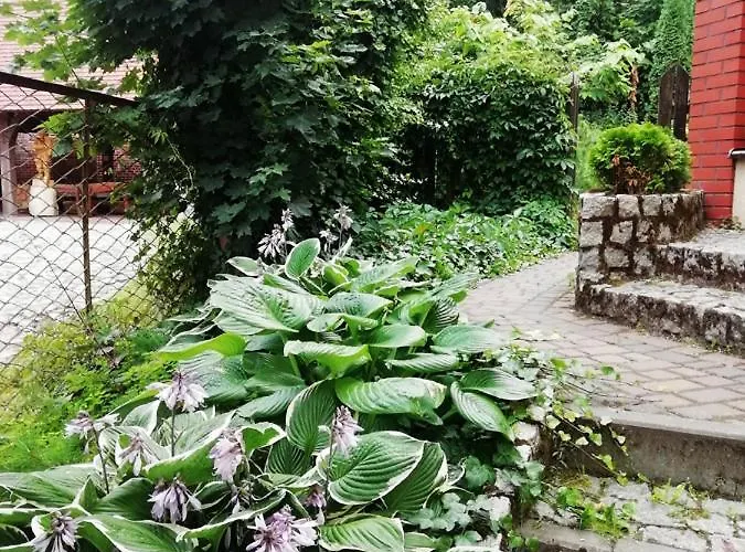 Baja Apartament Swornegacie