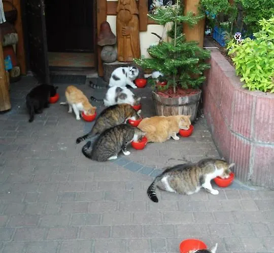 Baja Apartmán Swornegacie